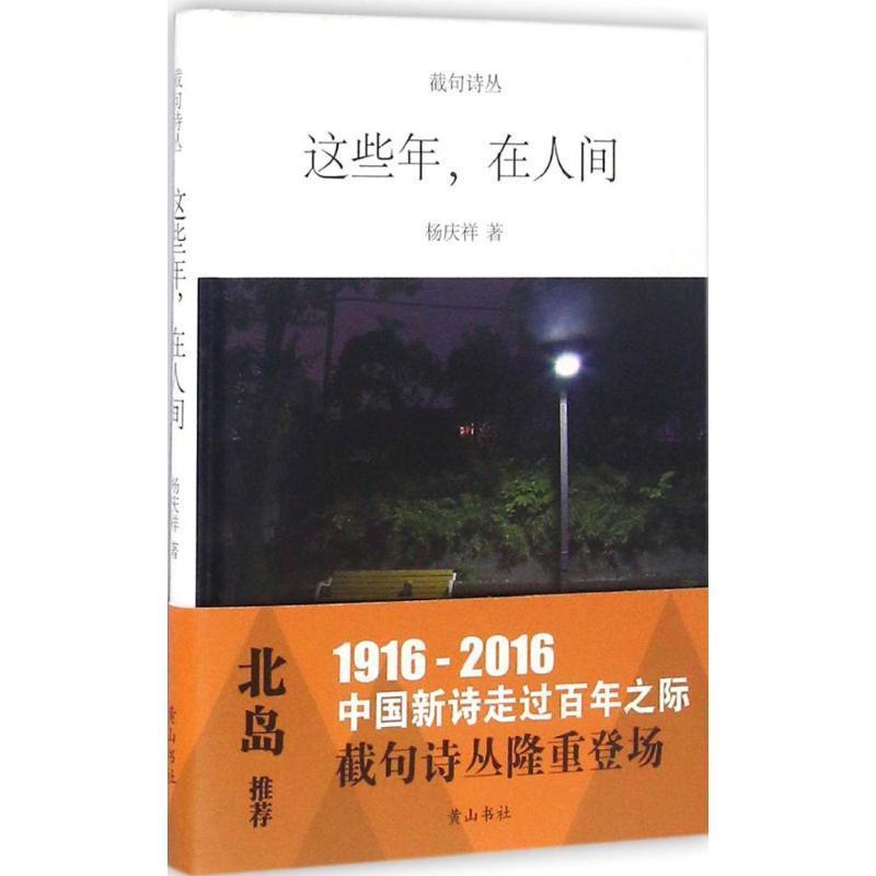 【正版书】 这些年在人间 杨庆祥 著 黄山书社
