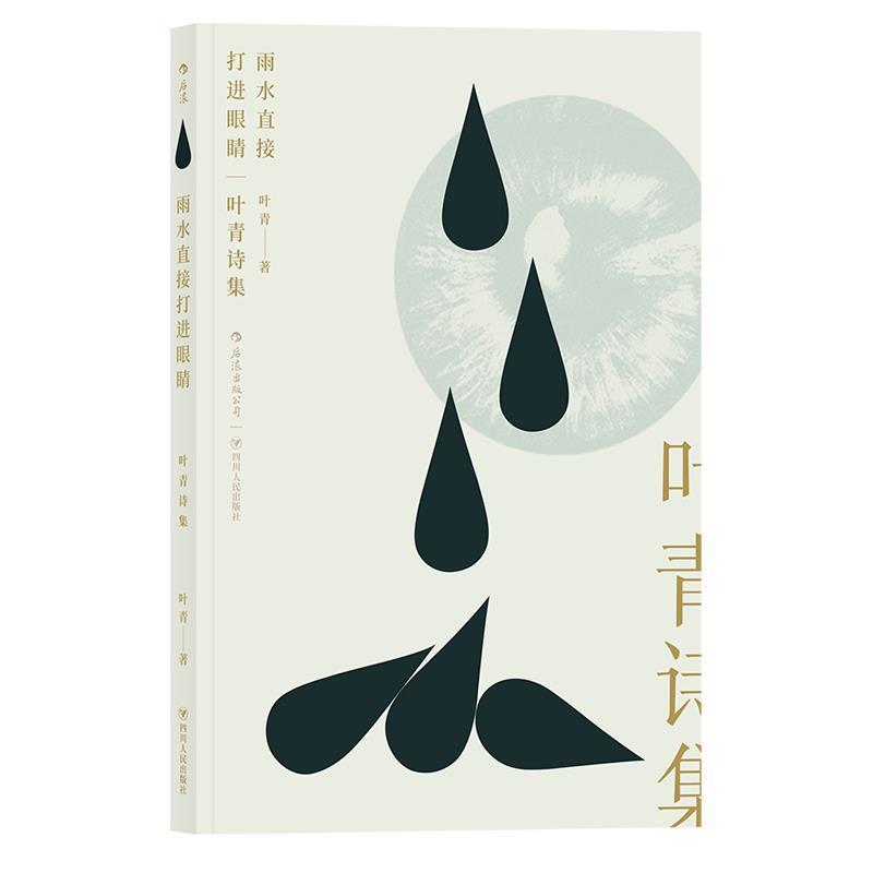 【正版书】 雨水直接打进眼睛:叶青诗集 叶青 四川人民出版社
