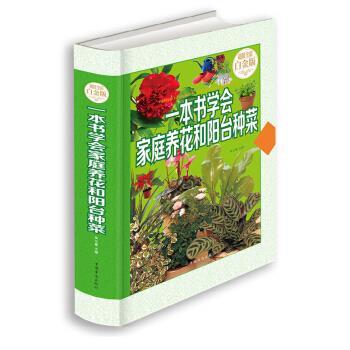 【正版书】 一本书学会家庭养花和阳台种菜 朱立春 著 中国华侨出版社