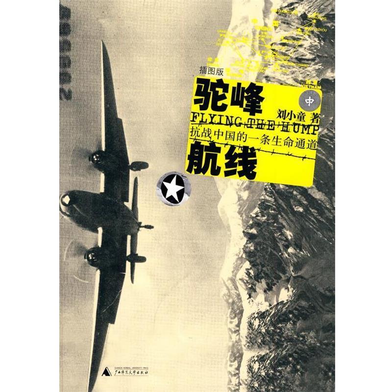 【正版书】 驼峰航线:抗战中国的一条生命通道 刘小童 著 广西师范大学出版社