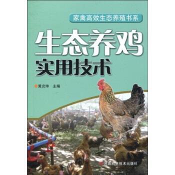 【正版书】 生态养鸡实用技术 黄炎坤 著 河南科学技术出版社
