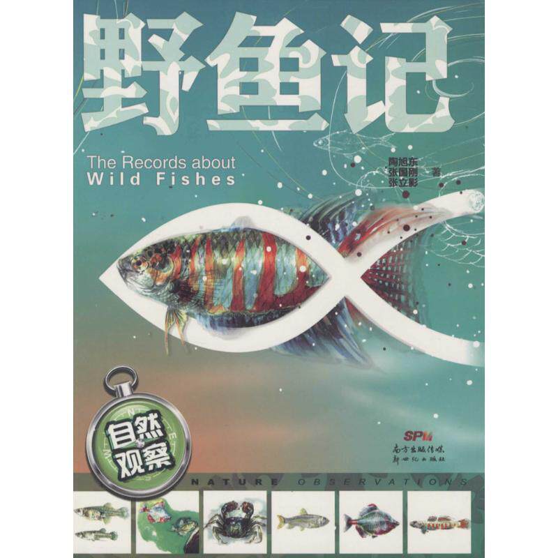 【正版书】 自然观察:野鱼记 陶旭东,张国刚,张立影　著 新世纪出版社