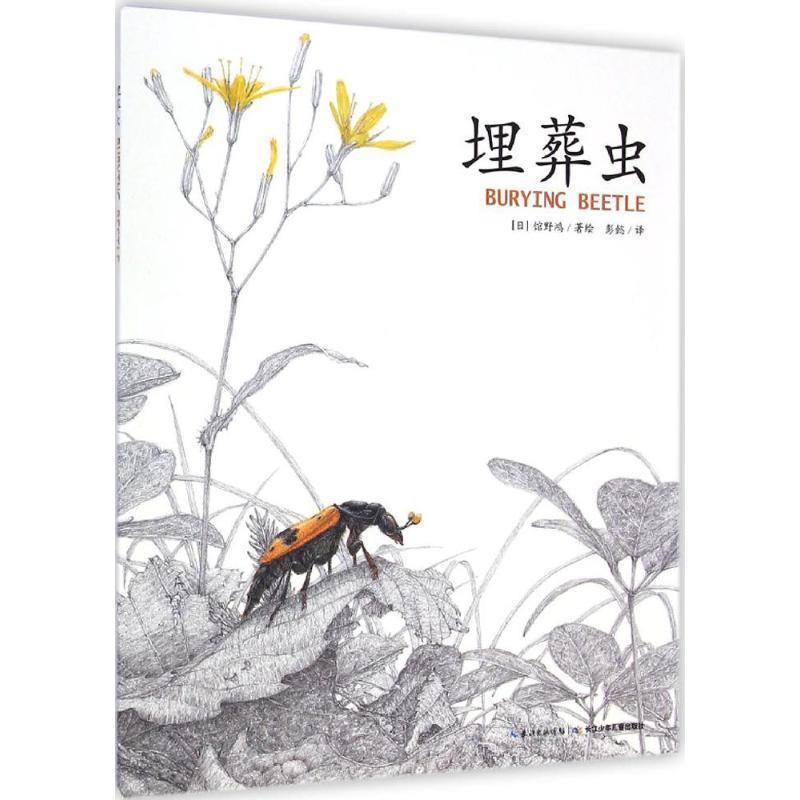 【正版书】 埋葬虫 (日)馆野鸿 著绘,彭懿 译 长江少年儿童出版社有限公司