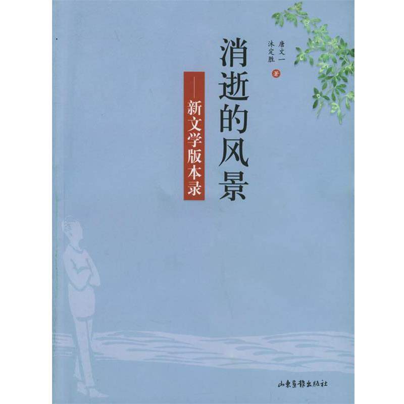 【正版书】 消逝的风景 唐文一,沐定胜 著 山东画报出版社