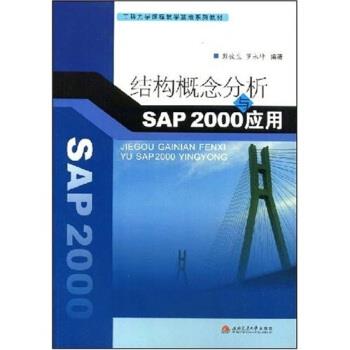 【正版书】 结构概念分析与SAP2000应用 彭俊生,罗永坤 著 西南交通大学出版社