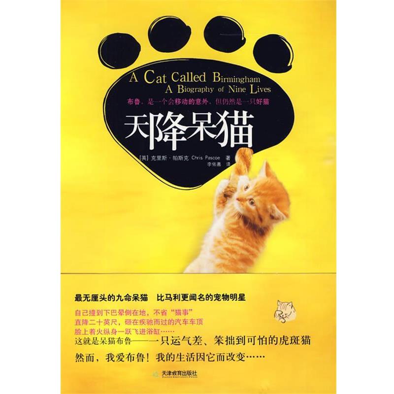 【正版书】 天降呆猫 (英)帕斯克　著,李佑嘉　译 天津教育出版社