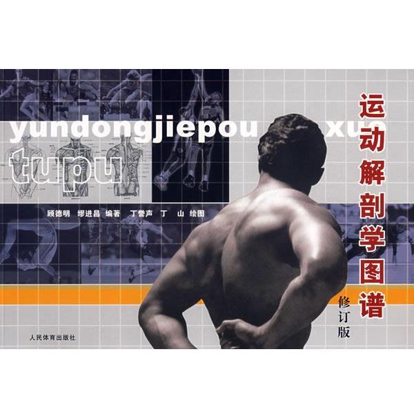【正版书】 运动解剖学图谱 顾德明,缪进昌　编著,丁誉声,丁山　绘图 人民体育出版社