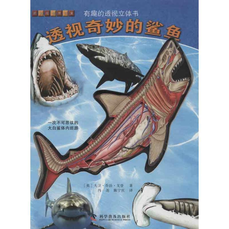 【正版书】 有趣的透视立体书--有趣的透视立体书—透视奇妙的鲨鱼 戈登 科学普及出版社