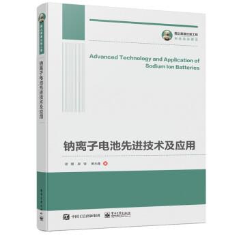 【正版书】 国之重器出版工程 钠离子电池技术及应用 谢嫚,吴锋,黄永鑫 著 电子工业出版社