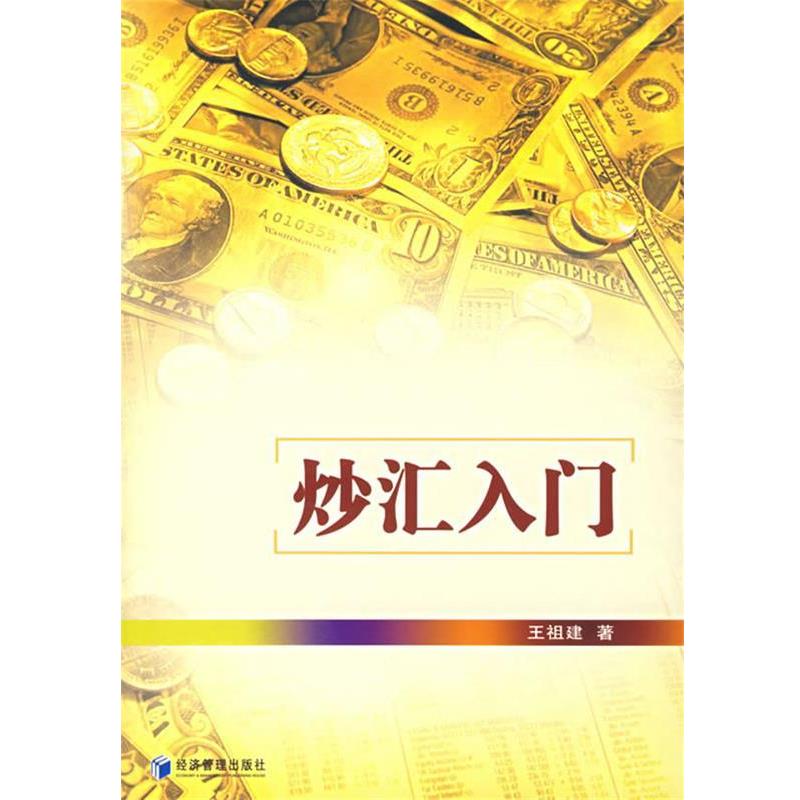 【正版书】 炒汇入门 王祖建 著 经济管理出版社