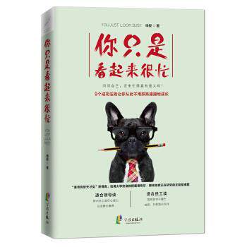 【正版书】 你只是看起来很忙 申辰 宁波出版社