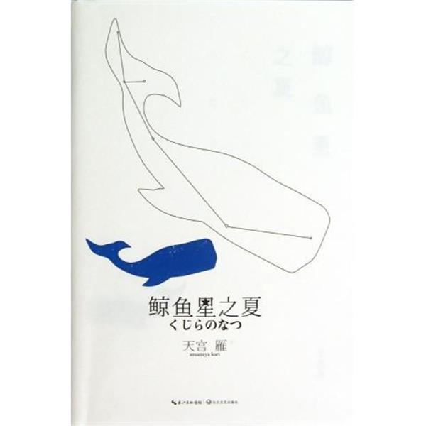 【正版书】 鲸鱼星之夏 天宫雁 著 长江文艺出版社