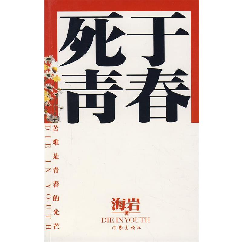 【正版书】 死于青春 海岩 著 作家出版社
