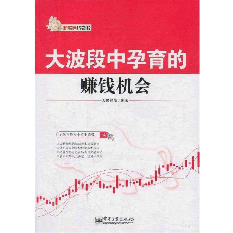 【正版书】 大波段中孕育的赚钱机会 大愚和尚　编著 电子工业出版社