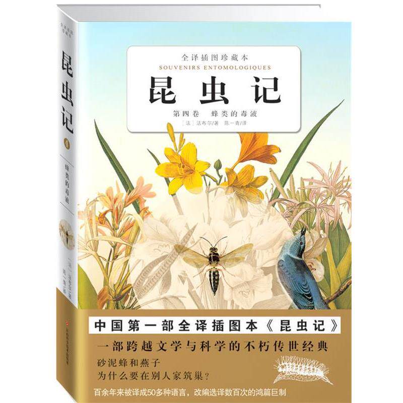 【正版书】 昆虫记蜂类的毒液 (法)法布尔 著,陈一青 译 江西科学技术出版社