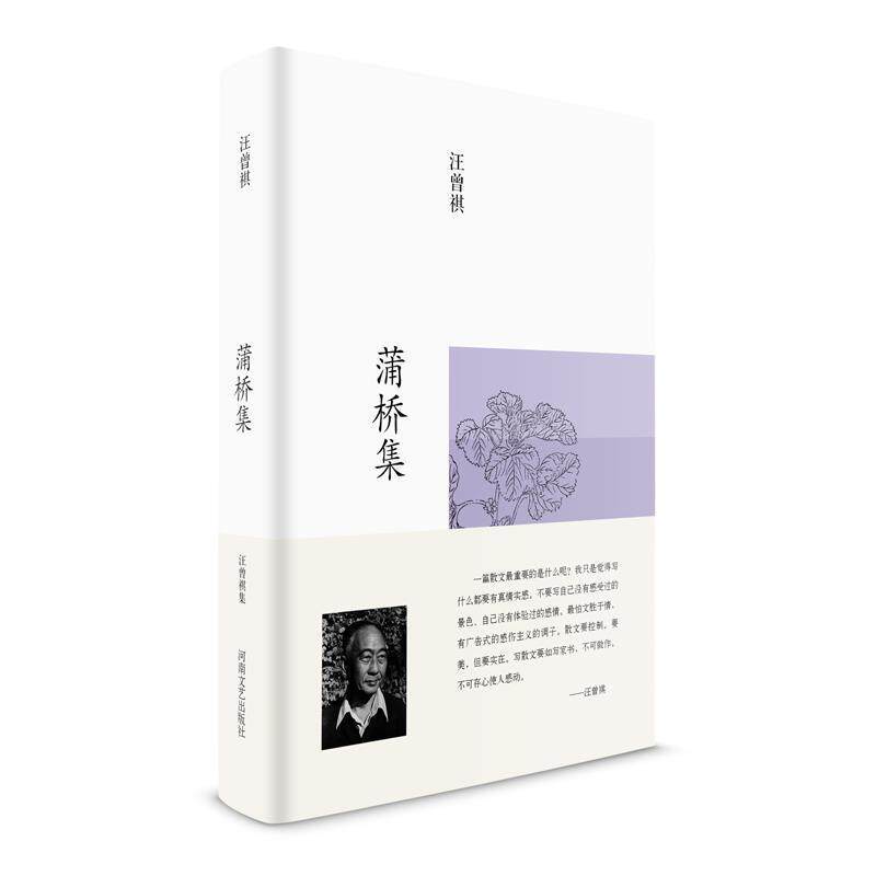 【正版书】 汪曾祺集:蒲桥集 汪曾祺 河南文艺出版社
