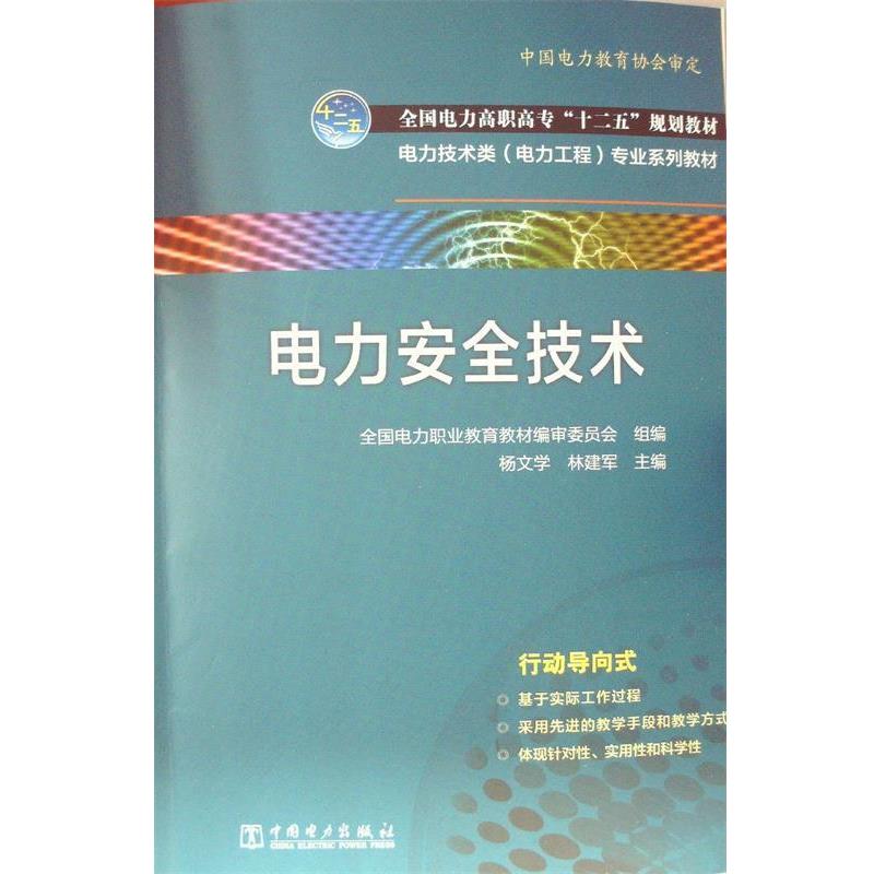 【正版书】 电力安全技术 杨文, 林建军 主编 中国电力出版社