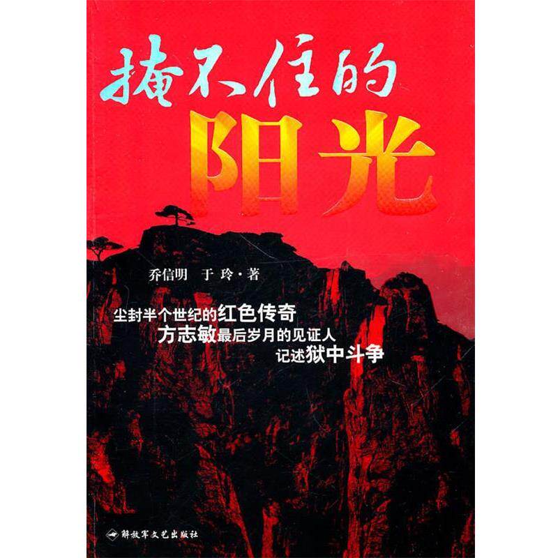 【正版书】 掩不住的阳光 乔信明 于玲 文艺出版社