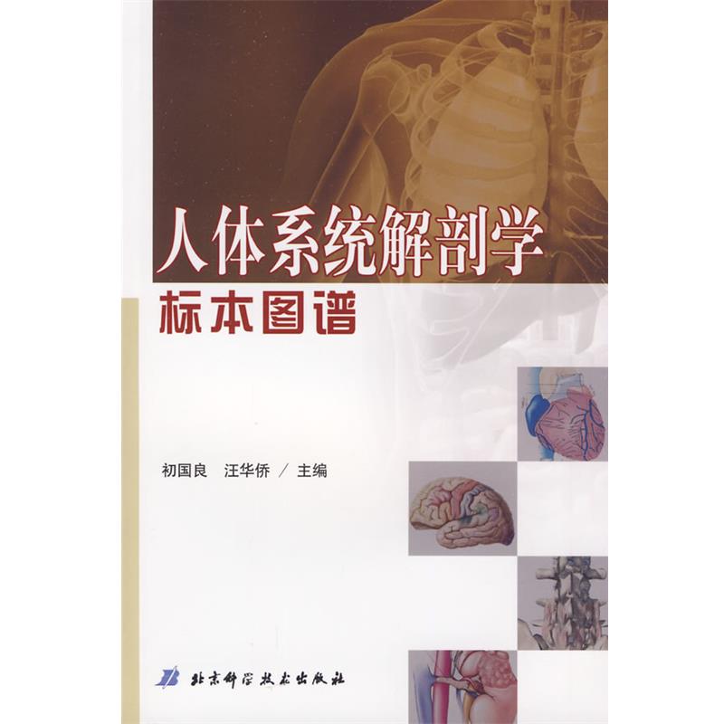 【正版书】 人体系统解剖学标本图谱 初国良 汪华侨 北京科学技术出版社