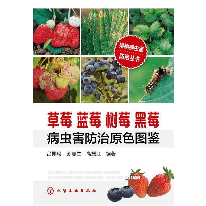【正版书】 果树病虫害防治丛书--草莓蓝莓树莓黑莓病虫害防治原色图鉴 吕佩珂,苏慧兰,高振江 编著 化学工业出版社