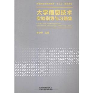 【正版书】 大学信息技术实验指导与习题集 褚宁琳 编 中国铁道出版社