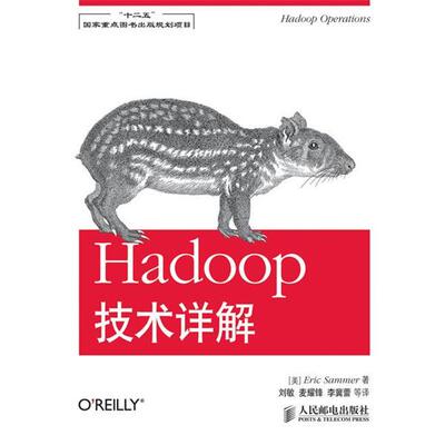 【正版书】 Hadoop技术详解 (美)萨默 人民邮电出版社