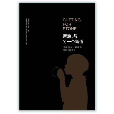 【正版书】 斯通，与另一个斯通 [美] 亚伯拉罕.维基斯 南海出版公司出版社