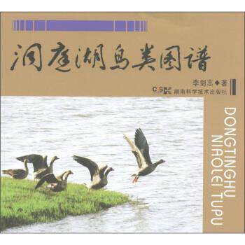【正版书】 洞庭湖鸟类图谱 李剑志 著 湖南科学技术出版社