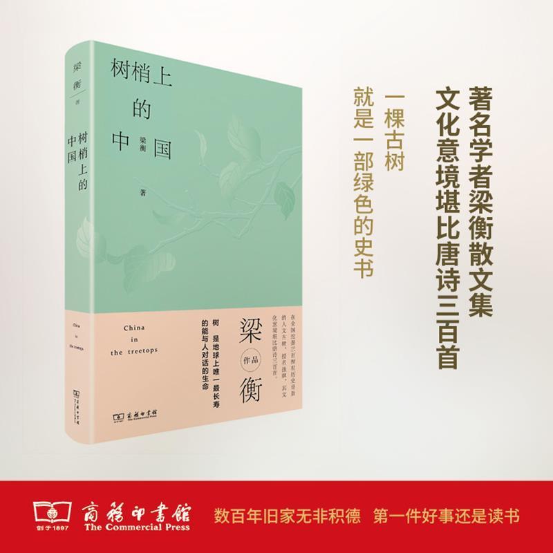 【正版书】 树梢上的中国 梁衡 商务印书馆