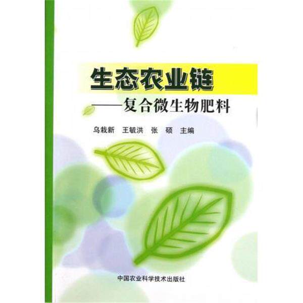 【正版书】 贝贝熊系列丛书 在奶奶家 [美] 斯坦·博丹,简·博丹 著,张德启 等 译