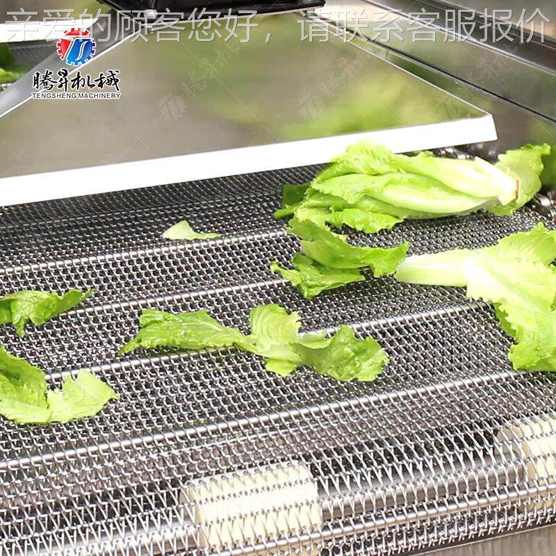 全自式动续风干机 翻流转式强风CLT干机辣椒圈连萝卜商用