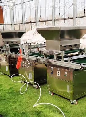 穴盘播种吸机 自动化省时力辣椒蔬育苗菜IYS省机花卉针式播种机