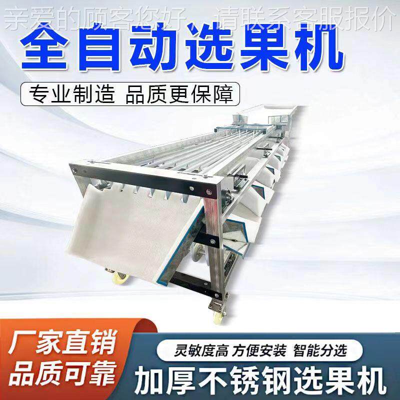 选机新款橙子圣女李果DUM青枣金桔槟榔百香柿子果子杨梅分级筛选