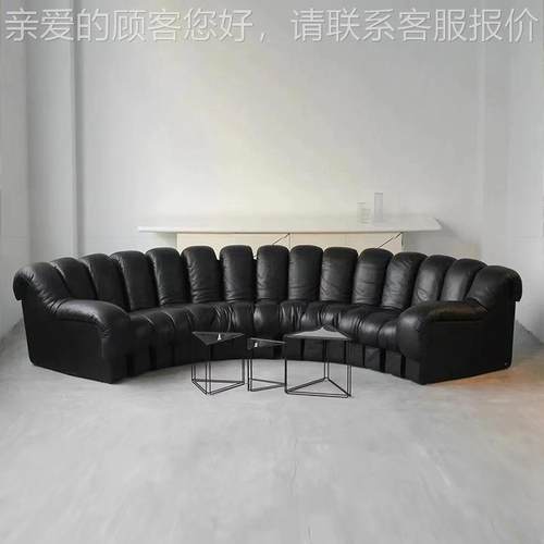瑞士进口e seS型沙发e蛇d形沙发别墅大户型dS形模块计师Ds-6设00