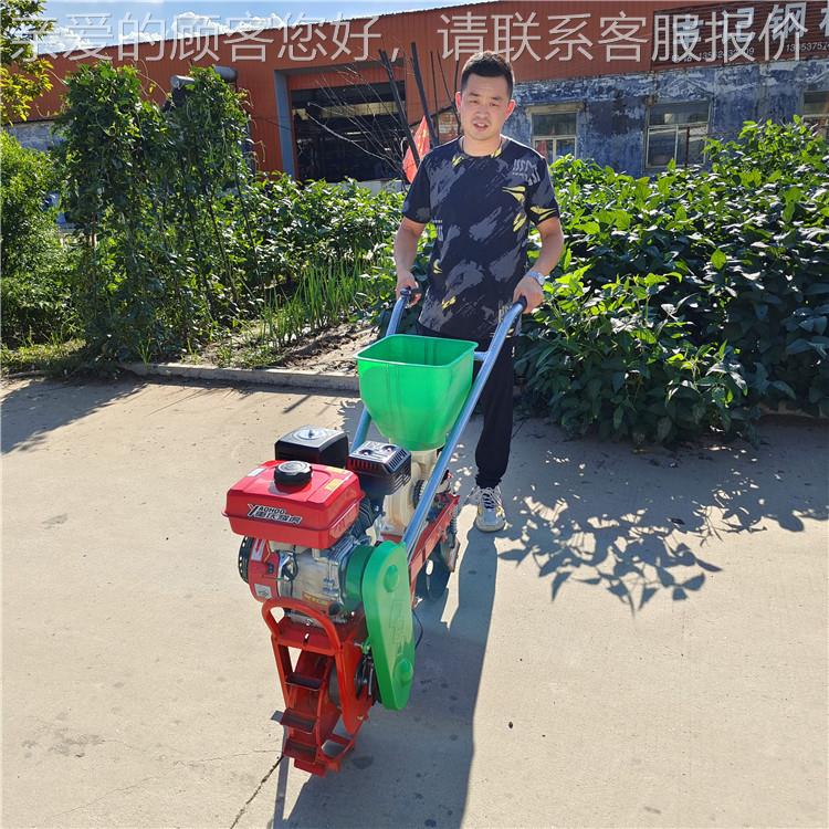 四冲程农玉米精播机 手推式ICT田大豆 施耘肥播种机汽油轨耕机