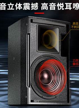 厂直销恰声Z-15专家业会议音响舞D台教室用音箱卡拉专OK音箱626设