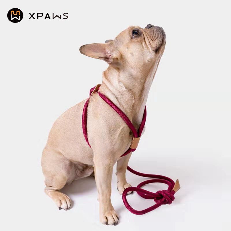 XPAWS 宠物一体式胸背带可调节胸背式牵引绳中小型犬遛狗绳柴犬