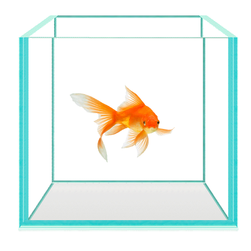 超白玻璃鱼缸金晶五线303y0方缸方形斗鱼小型鱼缸正方形20方缸