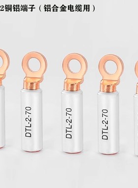 DTL-2系列欧标铜铝鼻子免剥线DTLFA级紫铜接线端子电缆国标铜鼻子
