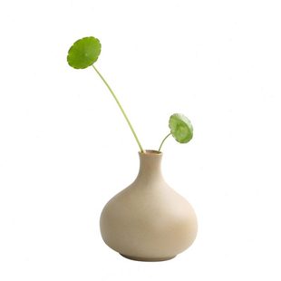 饰品 水培小花瓶陶瓷简约花器创意迷你花瓶摆件客厅插花水培家居装