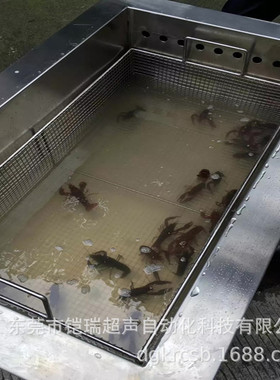 小龙虾超声波清洗机 虾蟹 酒店清洗设备 铠瑞KR-248DFS热销中