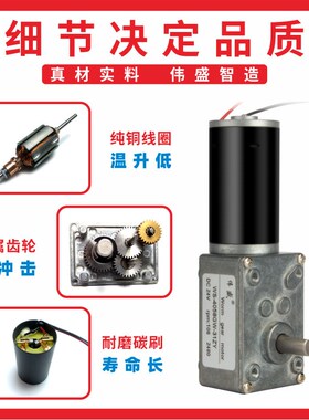 直流电机涡轮蜗杆减k速电机 自锁微型直流电机4058GW直流减速电机