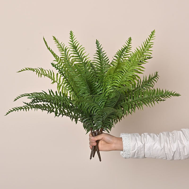 仿真蕨草手感软胶大蕨叶把束波斯蕨肾蕨植物墙绿植装饰假家居装饰