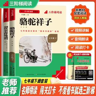 三阶梯阅读名师领读原著初中七年级下册骆驼祥子钢铁是怎么练成的嘉绿苑专拍