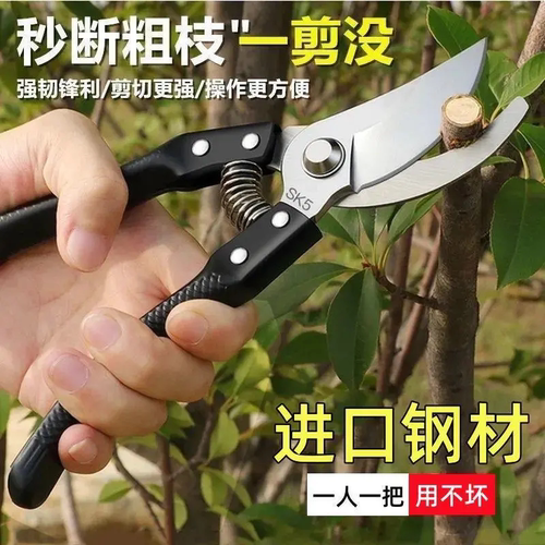 德国进口钢粗枝省力修-枝剪刀园艺修花木果树嫁接园林剪工具-框