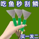 不锈钢鱼鳞刨工具厨房家用款 刮鱼鳞器手动打鱼刀厨房去鱼鳞鱼鳞刨