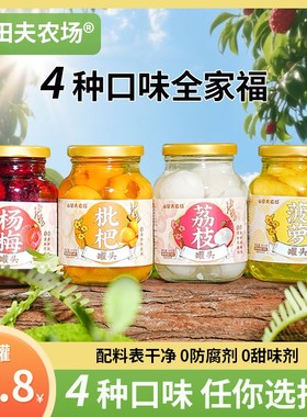 【4罐组合装】应季水果罐头整箱418g*4罐枇杷荔枝杨梅菠萝多口味