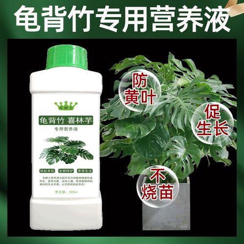 龟背竹专用营养液穿孔喜林芋肥料铁丝兰专用肥水培蓬莱蕉叶面水溶