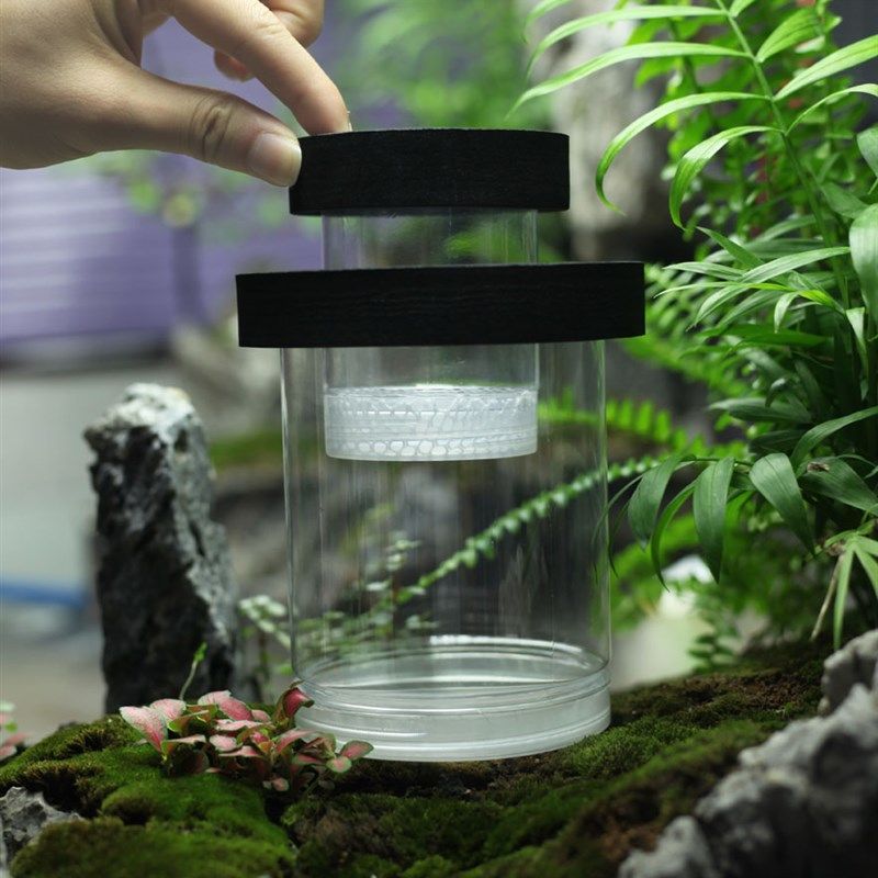 孔雀鱼漂浮繁殖罐鱼缸隔离盒孵化罐热带鱼小鱼孵化器幼鱼产房产箱,宠物/宠物食品及用品,其它水族用具设备,淘宝优惠券,粉丝福利购,淘宝优惠卷