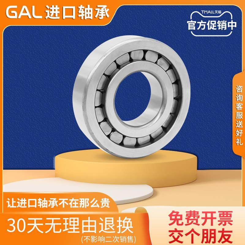 日本GAL进口圆柱滚子轴承RN309 RN310 RN311 RN312 RN313EM